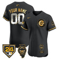 MLB Chicago Spring Training & Illinois Patch Vapor Premier Elite Jersey
